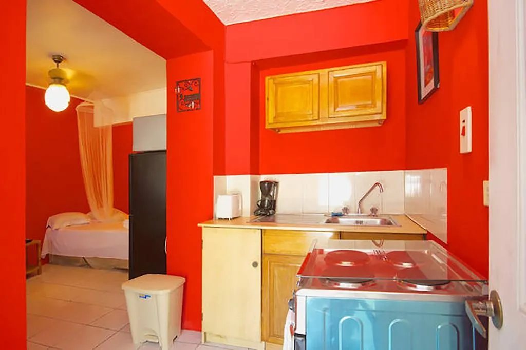 The Boho Flats By Bohemian Lodges Kingston Appartement