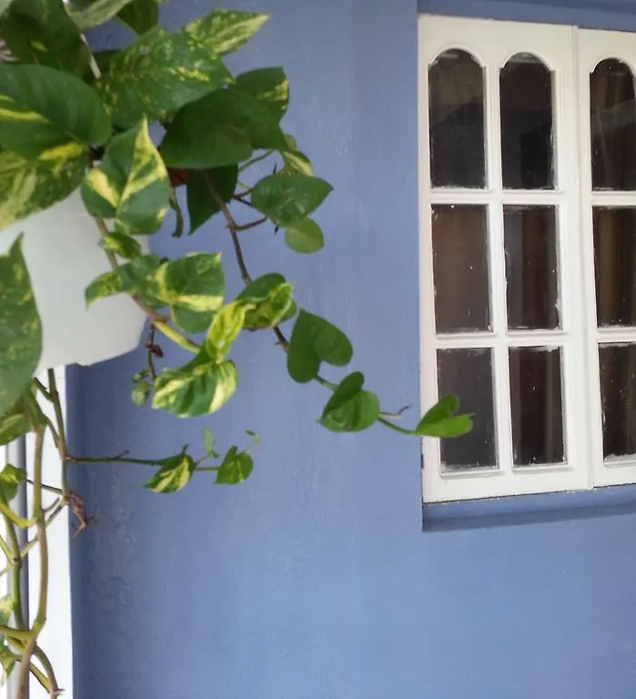The Boho Flats By Bohemian Lodges Kingston