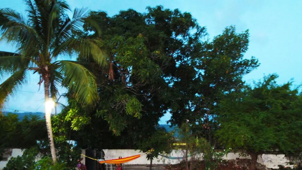The Boho Flats By Bohemian Lodges Kingston Jamaica