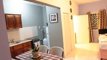 The Boho Flats By Bohemian Lodges Kingston 0*,  Jamaica